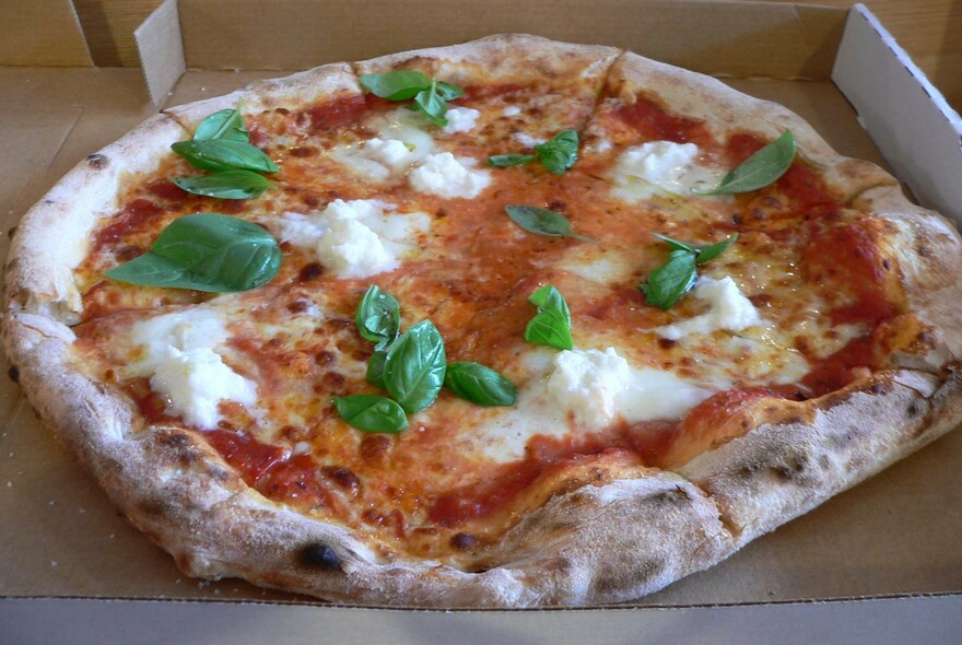 Pizza with tomato, buffalo mozzarella and bay leaves.