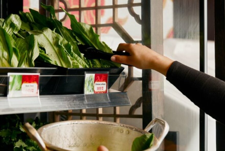 Person holding a pair of tongs, used to select ingredients to put in their bowl.