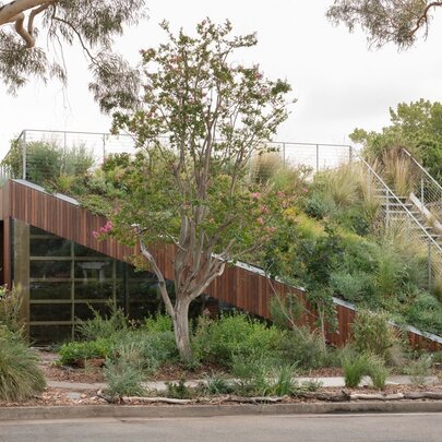 An architect desgined house with a sloping green roof covered in vegetation. 