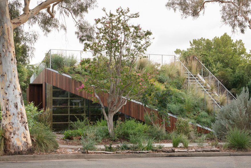 An architect desgined house with a sloping green roof covered in vegetation. 
