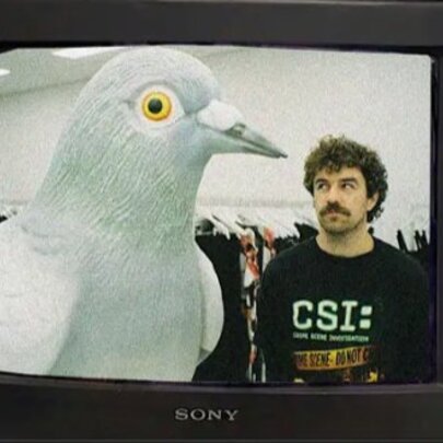 TV screen with moustached man looking sideways at a huge pigeon statue.
