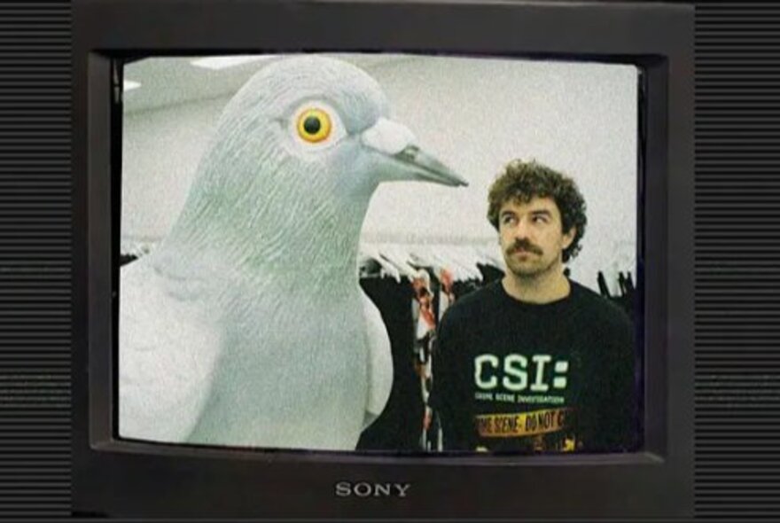 TV screen with moustached man looking sideways at a huge pigeon statue.