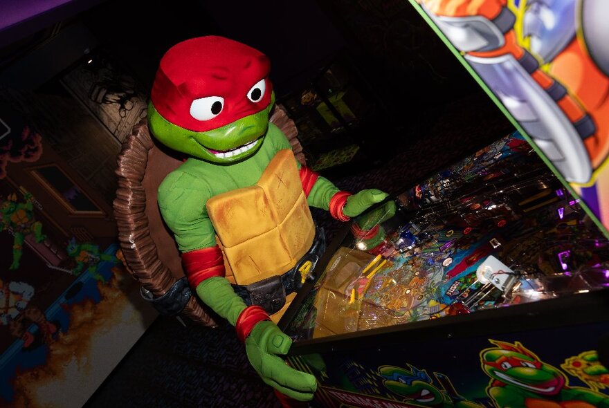 Teenage Mutant Ninja Turtle figure in red and green.