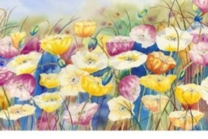 Watercolour painting of flowers in a field.
