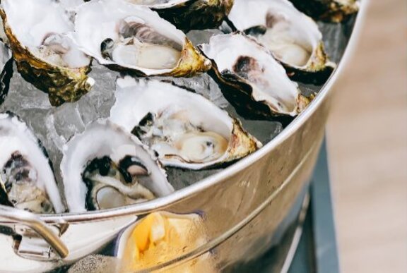 Silver bucket of shucked oysters on ice.