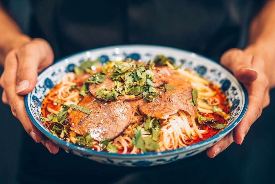 Hands holding a blue floral bowl of meat and noodles.