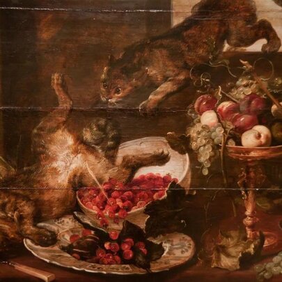 Taste & Temptation: Walk & Talk with Dr Matthew Martin