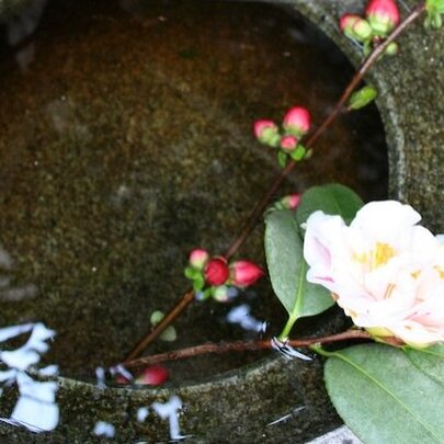 A Sensory Tour of Japan