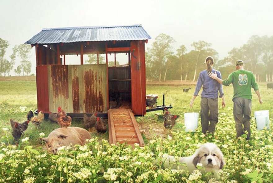 A rusty old chook shed in a field of flowers, with farm animals out the front and a couple walking away holding buckets.