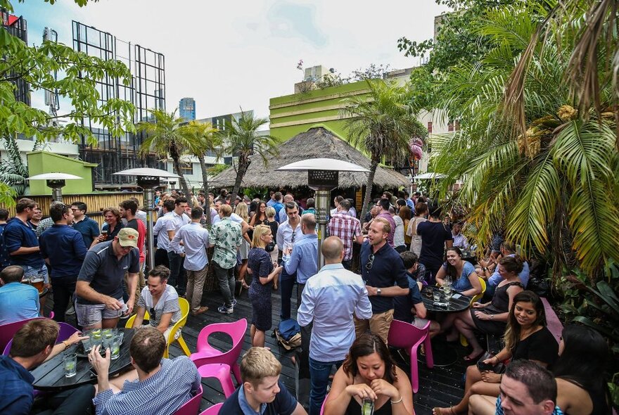 Rooftop bar with people socialising and drinking under tall palm trees with views of city buildings; day time.