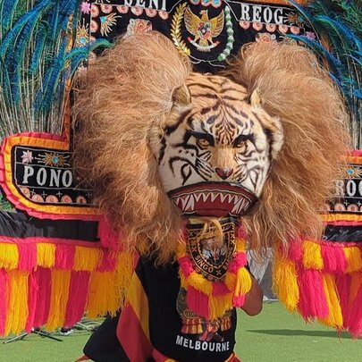 A large and colourful Indonesian festival costume display of a tiger with a lion's mane, peacock feathers and pink and yellow fringing. 