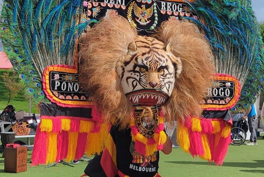 A large and colourful Indonesian festival costume display of a tiger with a lion's mane, peacock feathers and pink and yellow fringing. 