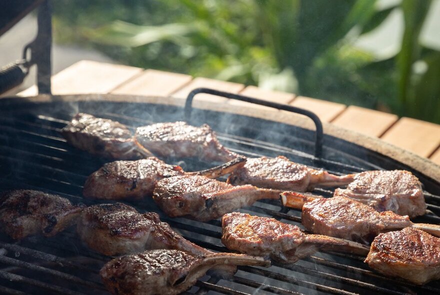 A bbq with lamb cutlets cooking on the grill; outdoors.