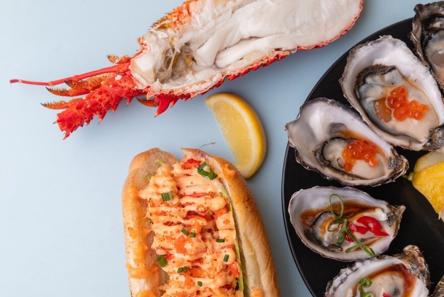 Looking down at a plate of oysters with a garnish, a lobster roll and half a lobster.