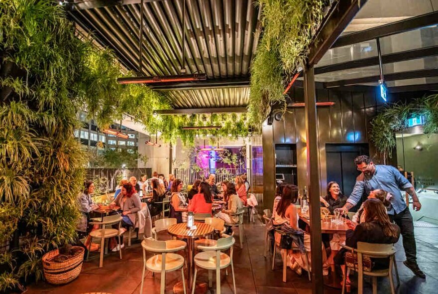 People sitting on a rooftop bar beneath leafy plant canopies