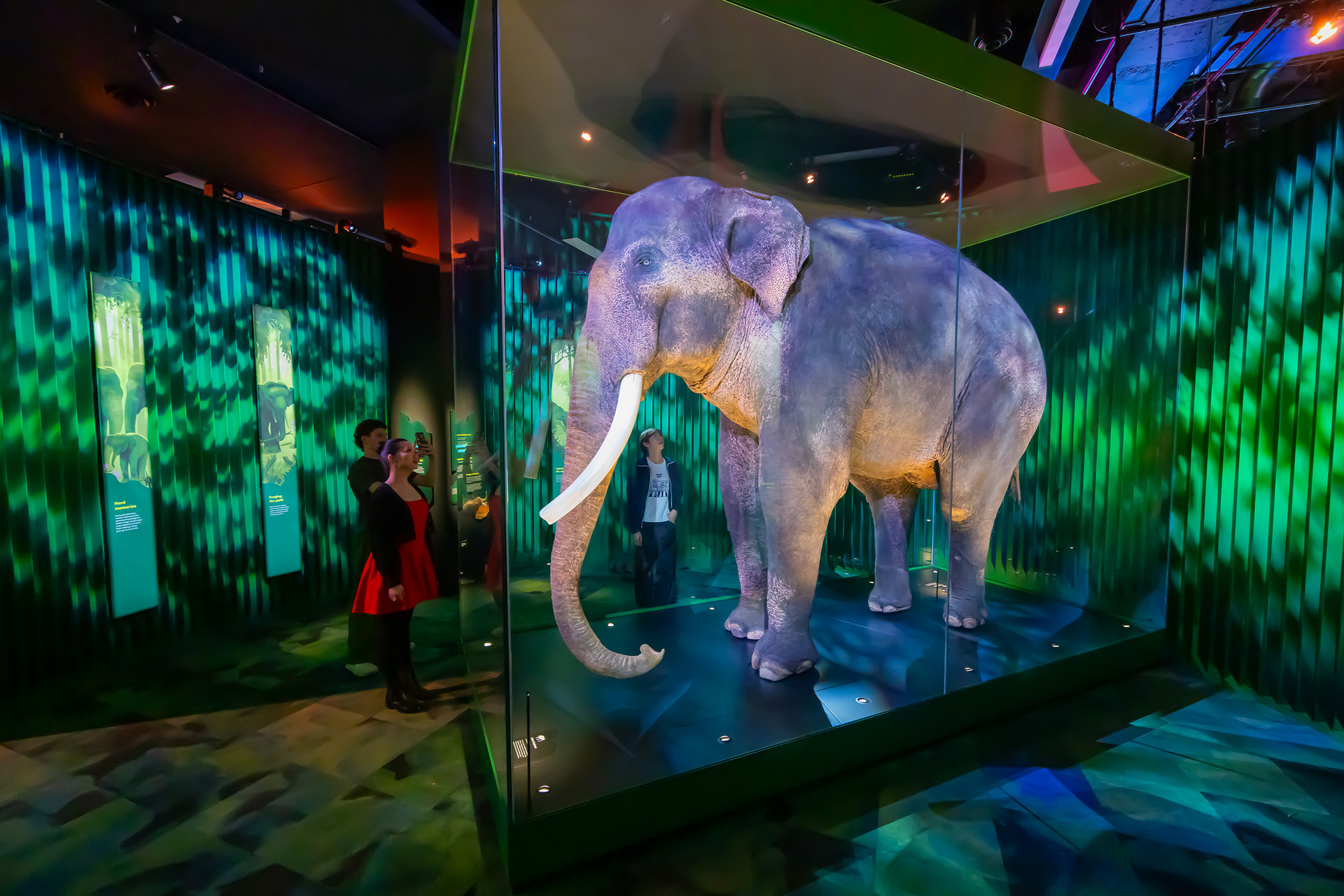 A large sculpture of an elephant in a museum 