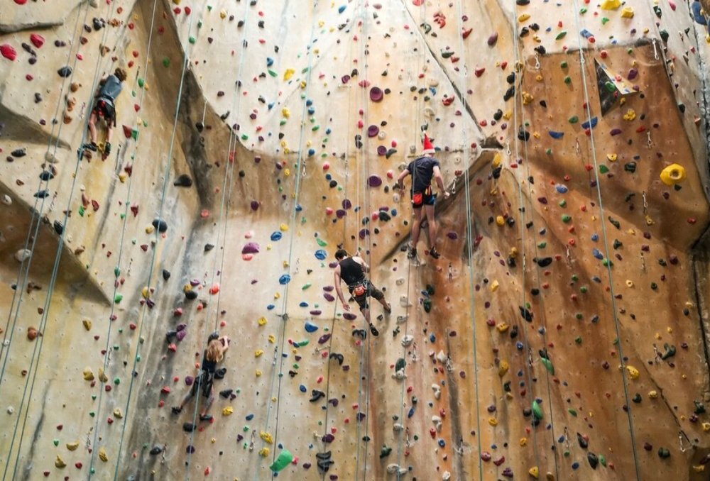 Four people climbing indoor rock climbing wall in harnesses.