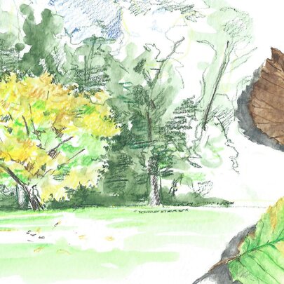 Nature Journaling: Alissa Duke Using Watercolour Pencils  