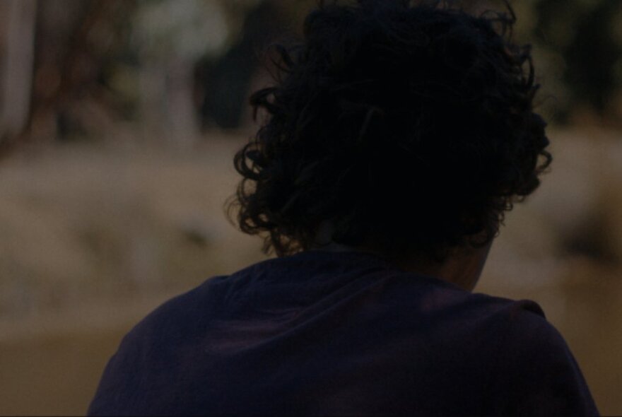 Person's back and head in dark silhouette against lighter landscape background.