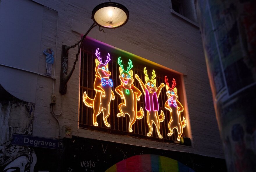 Light up display of four dingoes dancing. 