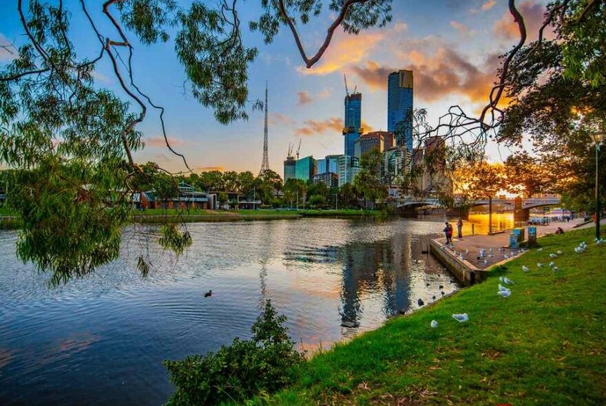 A park beside and a river in the city