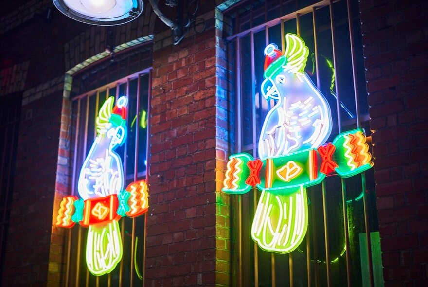 Light up display of two cockatoos. 