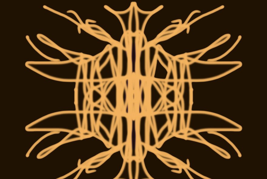 A symmetrical line drawing in orange, on a black background. 