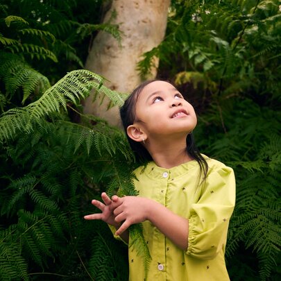 A primary-school aged child wearing a yellow top while standing among lush green ferns and looking upward.