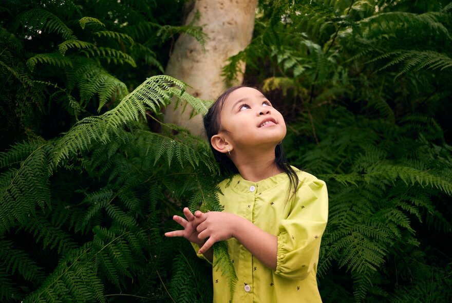 A primary-school aged child wearing a yellow top while standing among lush green ferns and looking upward.