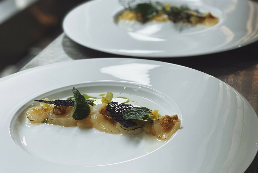 White plates with artfully presented entree.