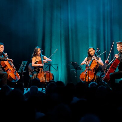 12 Cellos