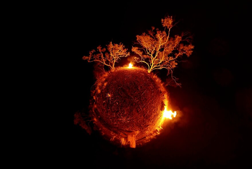 Round sphere with trees and flames sprouting out of it, against a black background.