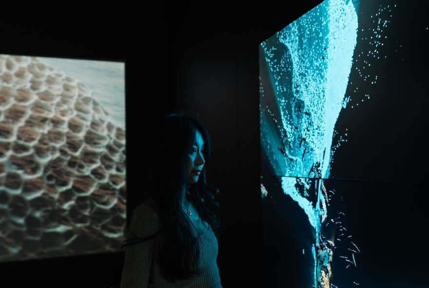 An immersive installation of projected visuals of coral reef structures as part of the EMERGENCE[Y] exhibition at Science Gallery.