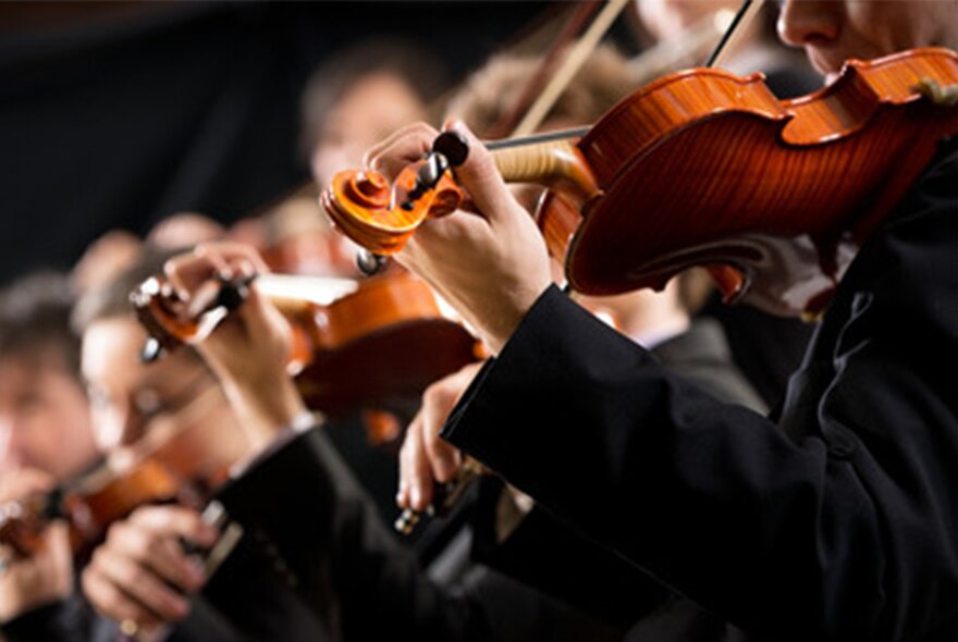 A close-up of violinists performing in an orchestra.