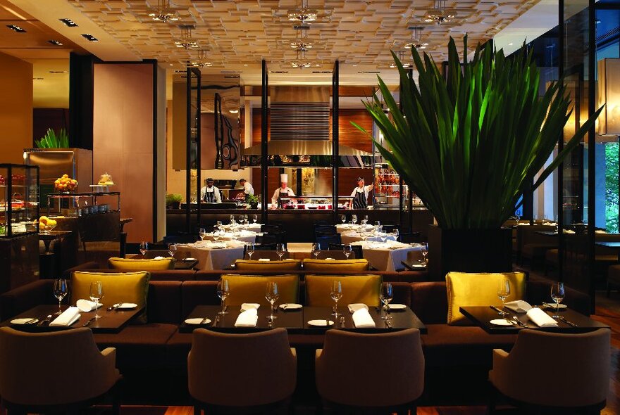 Restaurant interior with dark wooden tables lined up in rows next to a counter and large plant.