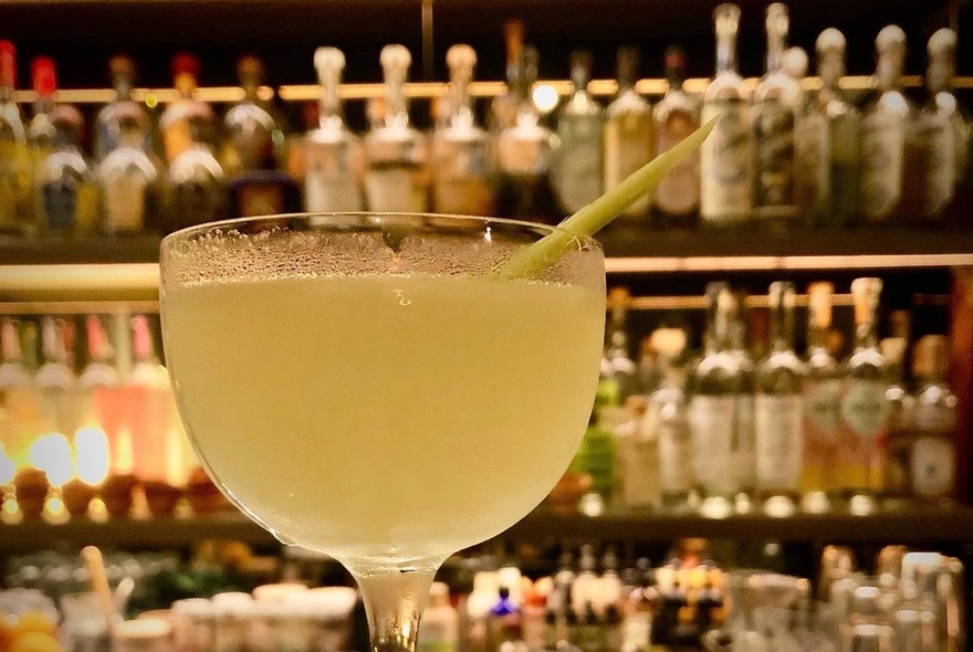 A margarita in a frosted cocktail glass, rows of bottles of alcohol in the background.