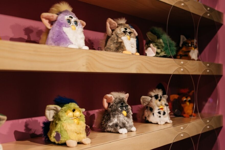 A collection of vintage Furby electronic robotic toys displayed on wooden shelves.