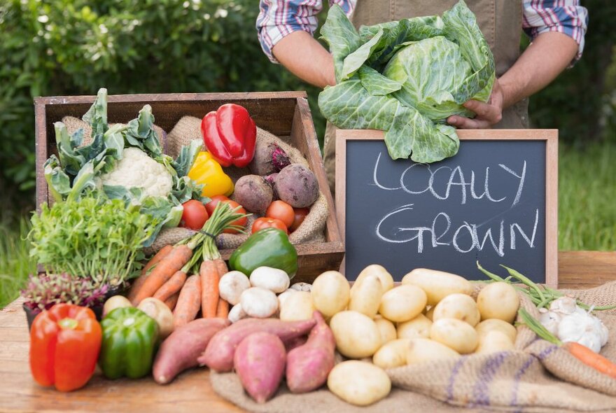 A variety of fresh vegetables displayed on a trestle table, spilling out of a wooden crate and onto a hessian sack, with a person holding a cabbage in the background behind a small blackboard sign that has the words LOCALLY GROWN written in white chalk.