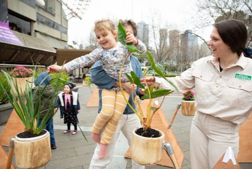 A toddler being held by their parent and touching the leaves of potted plants at the RESET Festival at Fed Square.