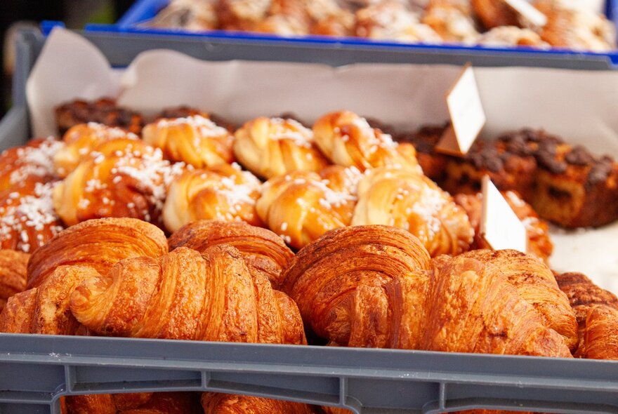 A tray of croissants and other baked French pastries.