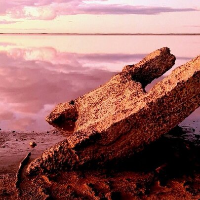 Artwork resembling a strange dry landscape with rock formations jutting out and pinkish sky.