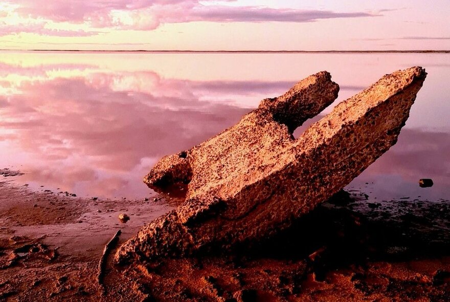 Artwork resembling a strange dry landscape with rock formations jutting out and pinkish sky.