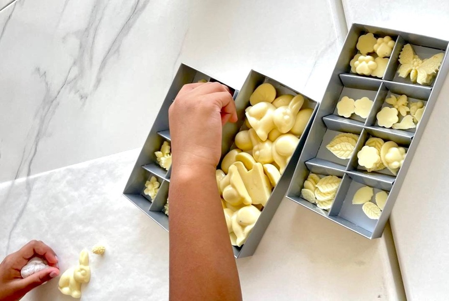 Hands of a young child selecting white chocolate animal shapes from a box during a chocolate painting workshop.