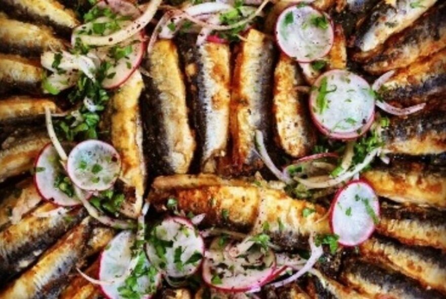 Sardines with slices of radish garnish.