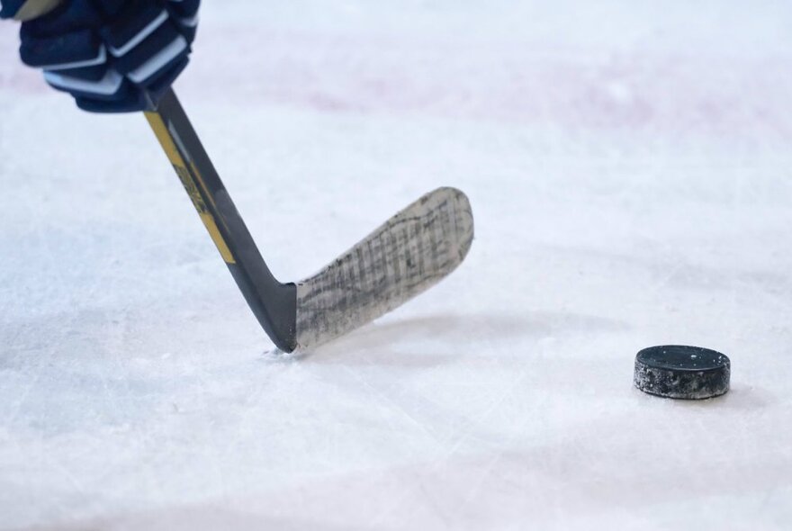 Ice hockey stick and puck on the ice.