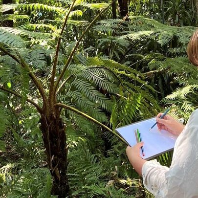 Nature Journaling Workshop: Southern China Collection