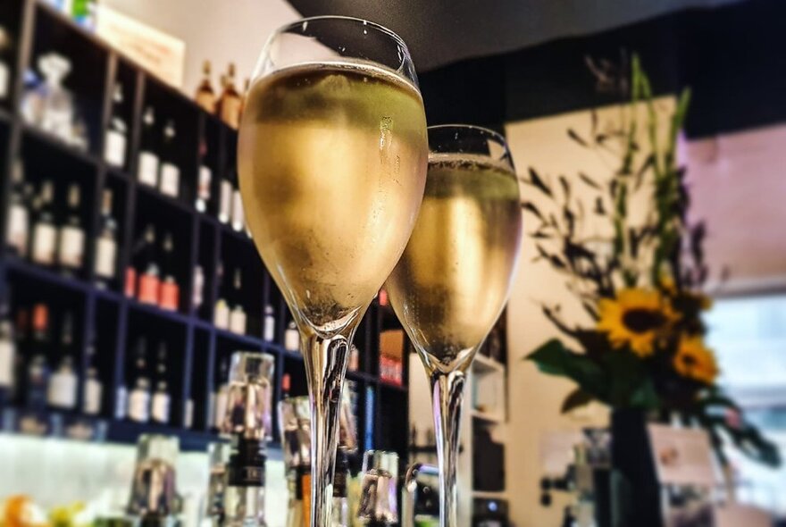 Looking up from below at two chilled glasses of white wine on a bar with bottles behind. 