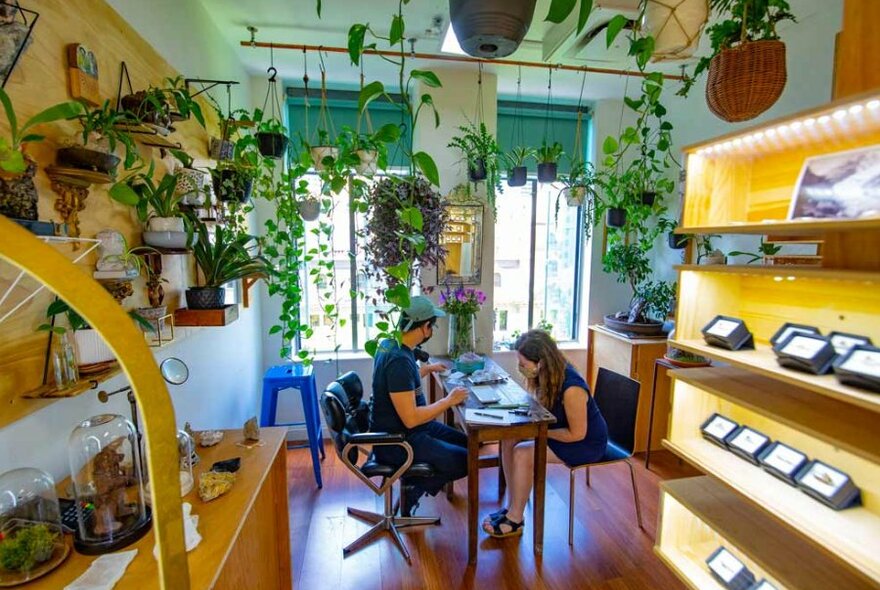 A woman being served by a jeweller in a contemporary jewellery store decorated by indoor plants.