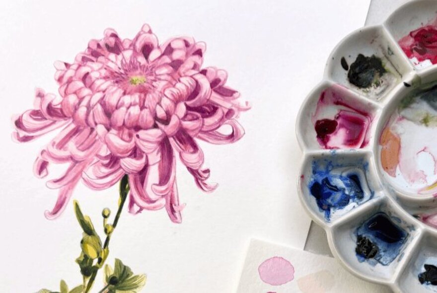 A watercolour of a pink flower on white paper, with an artist's watercolour palette resting on the table next to it.
