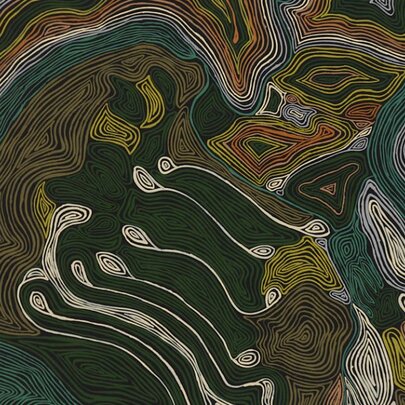 Internal Landscapes